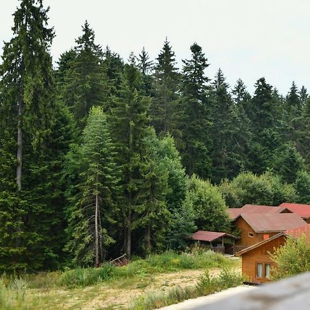 Appartamento Iglika 2, V9 Borovets Esterno foto