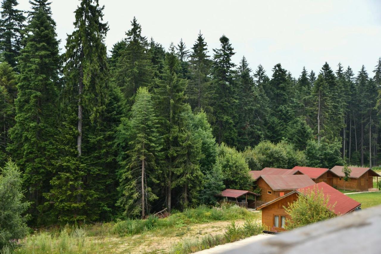 Appartamento Iglika 2, V9 Borovets Esterno foto